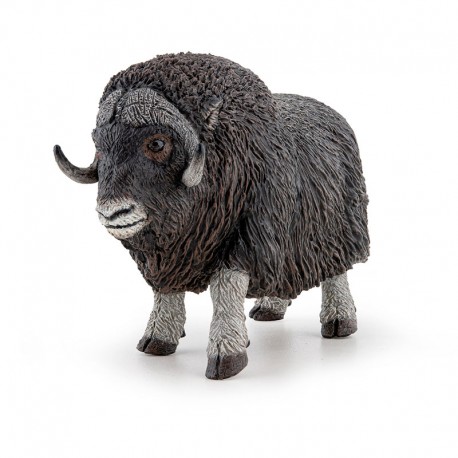 MUSK OX