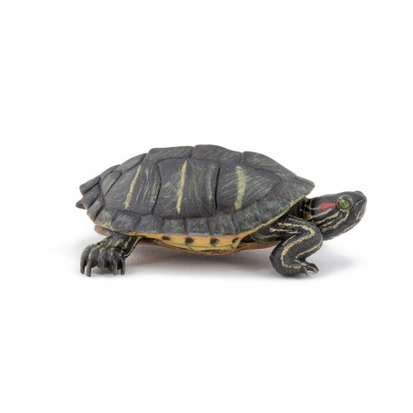 TORTUE DE FLORIDE / À TEMPES ROUGES