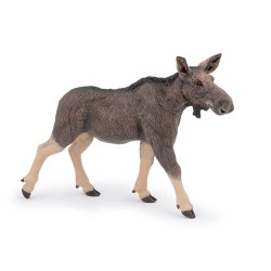 FEMALE ELK