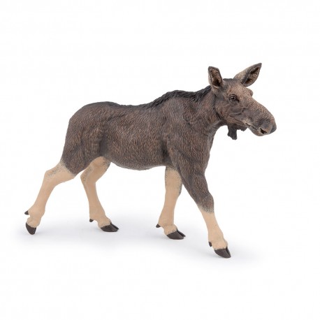FEMALE ELK