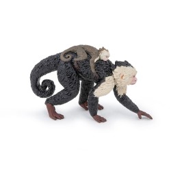 CAPUCHIN