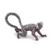 MARMOSET