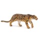 NEBULOUS PANTHER