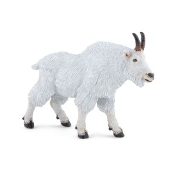 CHÈVRE DU CANADA