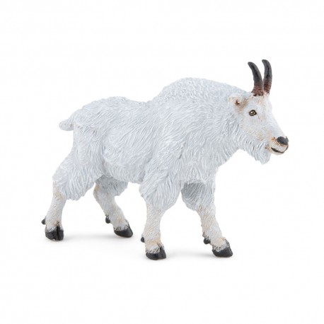 CHÈVRE DU CANADA