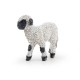 Valais Blacknose Lamb
