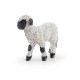 VALAIS BLACKNOSE LAMB