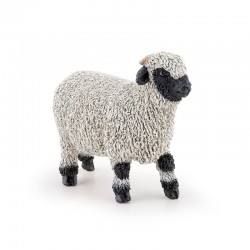MOUTON NEZ NOIR DU VALAIS