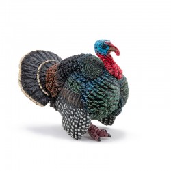 TURKEY