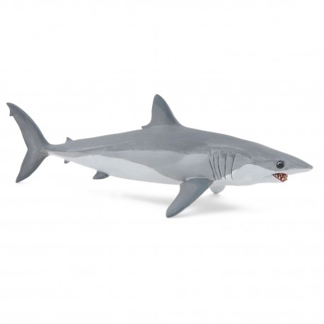 REQUIN MAKO
