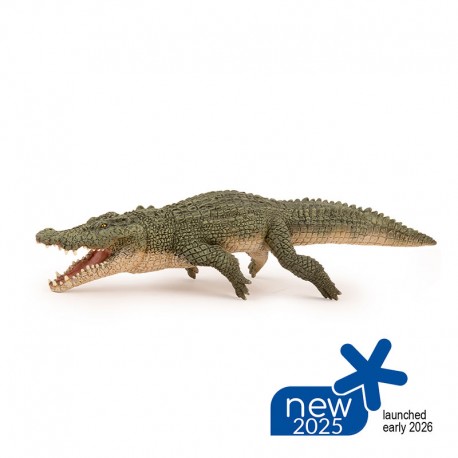 CROCODILE MARIN