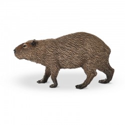 CAPYBARA