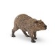CAPYBARA