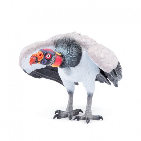 KING VULTURE