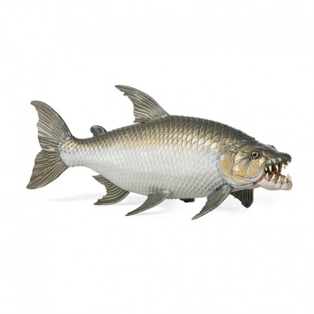 TIGERFISH