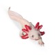 AXOLOTL