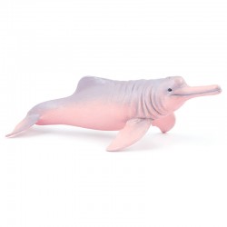 DAUPHIN ROSE DE L'AMAZONIE