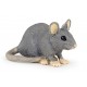 HOUSE MOUSE