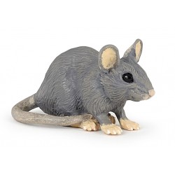 House mouse