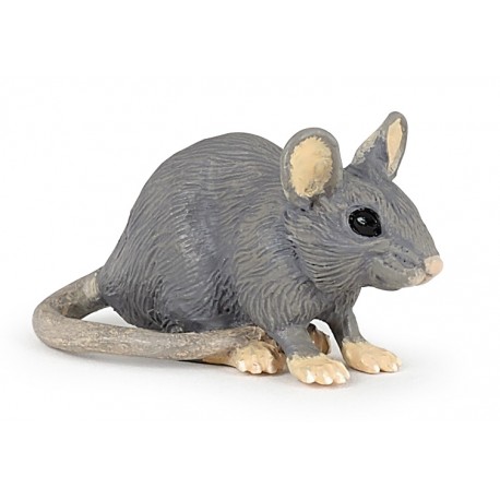 House mouse