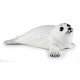 BABY SEAL