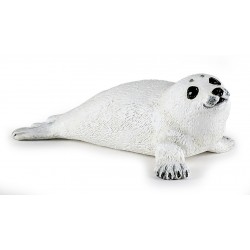 Baby seal