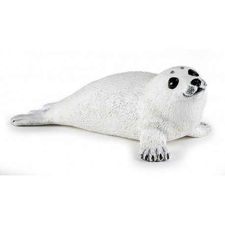 Baby seal