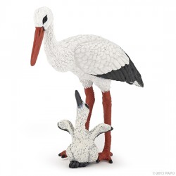 Cigogne et son bébé