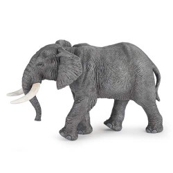 ÉLÉPHANT D'AFRIQUE