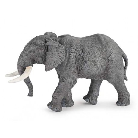 ÉLÉPHANT D'AFRIQUE