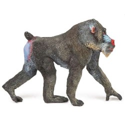 MANDRILL