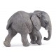 Jeune éléphant d'Afrique