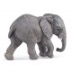 JEUNE ÉLÉPHANT D'AFRIQUE