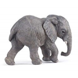 JEUNE ÉLÉPHANT D'AFRIQUE