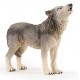 LOUP HURLANT
