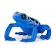 Equatorial Blue Frog