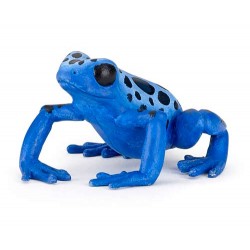 Grenouille équatoriale bleue