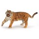 TIGRE RUGISSANT
