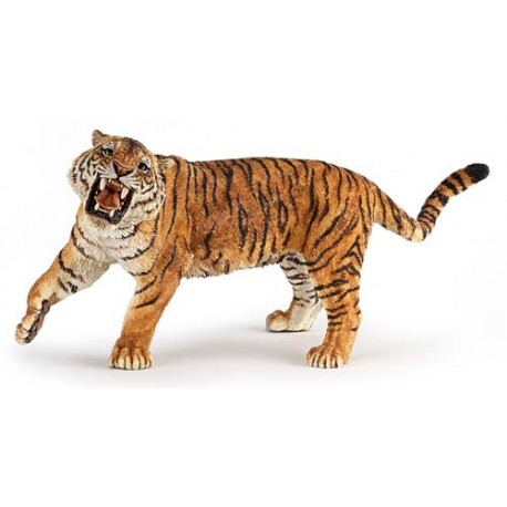 TIGRE RUGISSANT