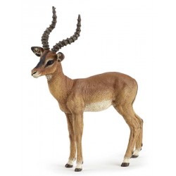 IMPALA