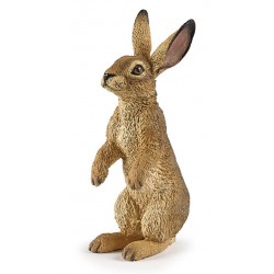 Standing hare