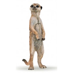 Standing meerkat