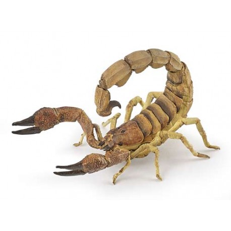 Scorpion