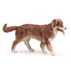 AUSTRALIAN SHEPHERD
