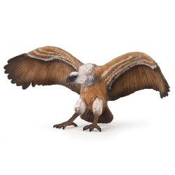 VAUTOUR