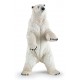 OURS POLAIRE DEBOUT