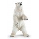 Standing Polar Bear