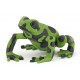 Equatorial vert / green Frog