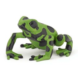 GRENOUILLE ÉQUATORIALE VERTE
