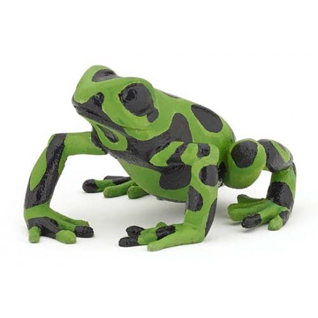 EQUATORIAL GREEN FROG
